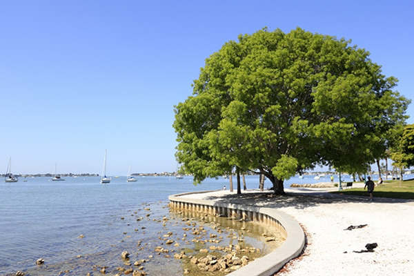 Florida Tree City  Standards